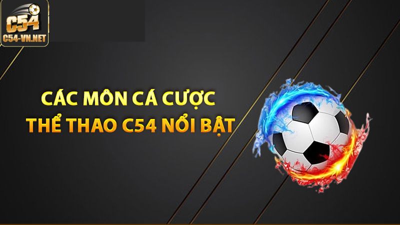 Những sản phẩm nên tham gia tại thể thao C54  