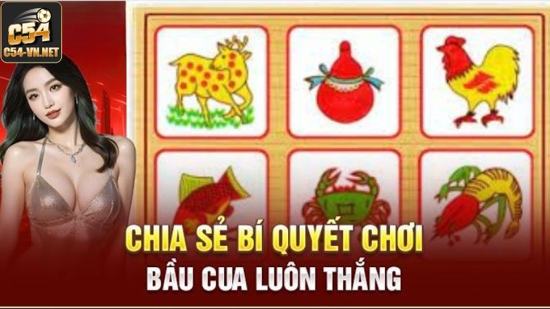 Chiến lược chơi bầu cua C54 kiếm thưởng cực dễ